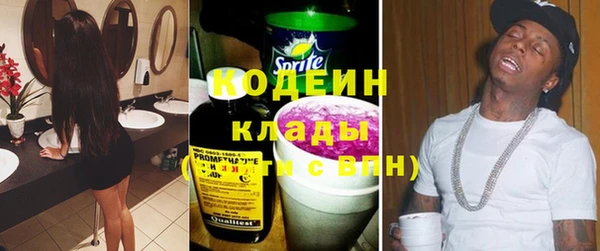 индика Арсеньев