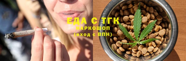 индика Арсеньев