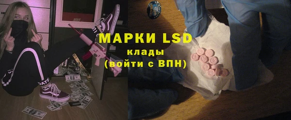 индика Арсеньев