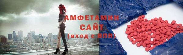 прущие грибы Баксан