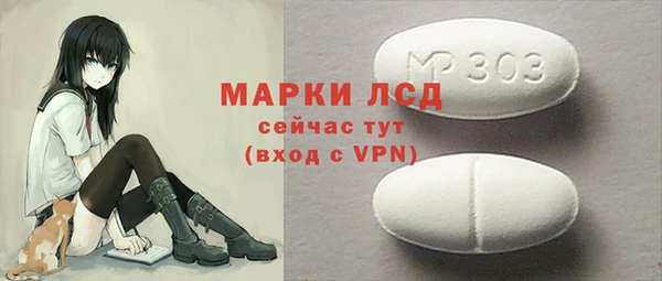 индика Арсеньев