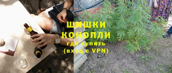 индика Арсеньев