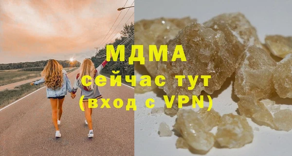 индика Арсеньев