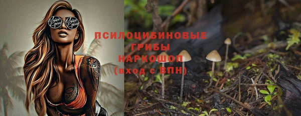 индика Арсеньев
