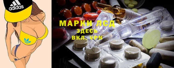 индика Арсеньев
