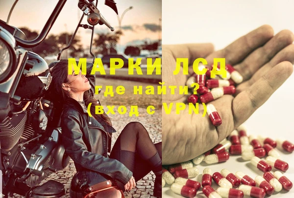 прущие грибы Баксан